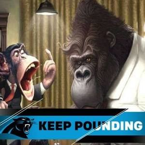 Meet your Posher, Bobby